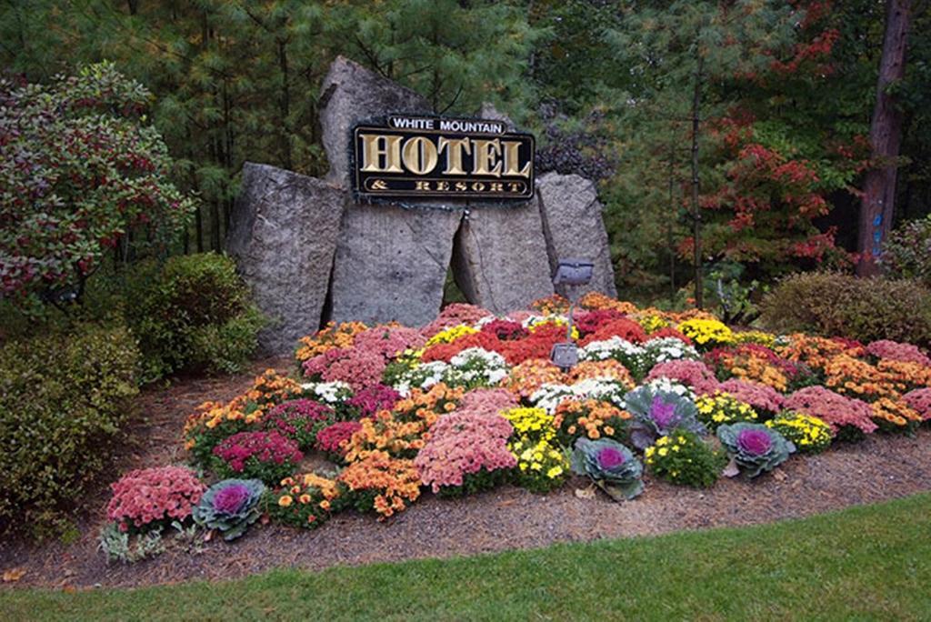 White Mountain Hotel And Resort North Conway Buitenkant foto